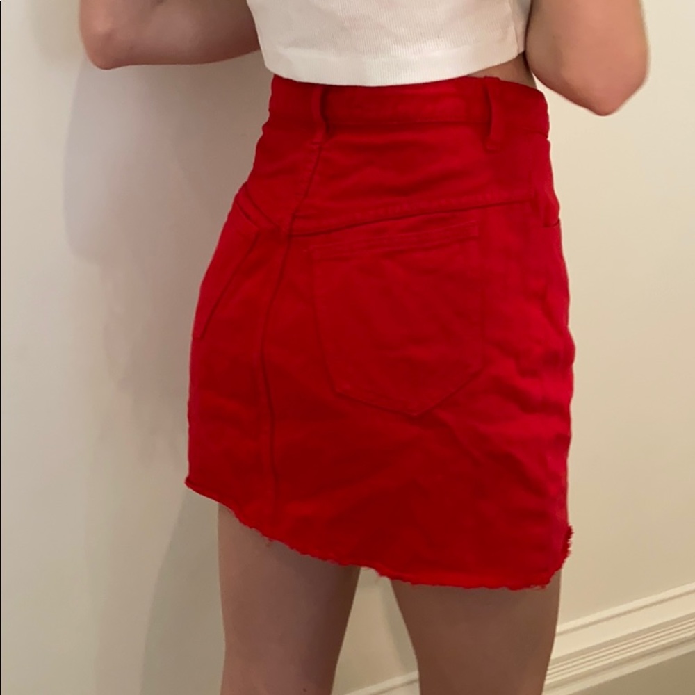 John Galt skirt